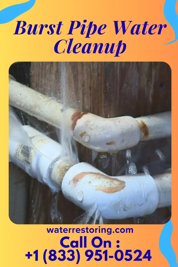 Burst Pipe Water Cleanup in Ginger Blue, MO