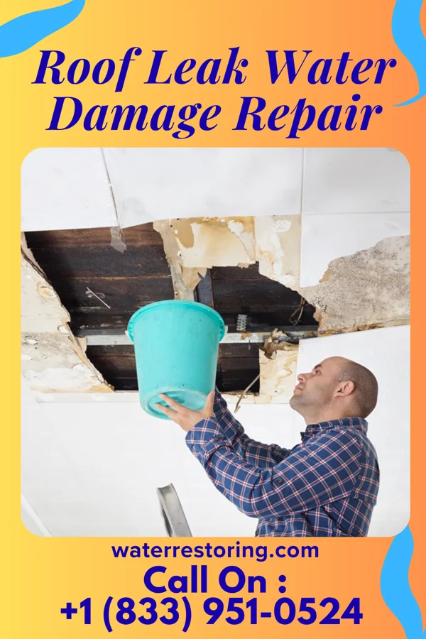Roof Leak Water Damage Repair in Ginger Blue, MO