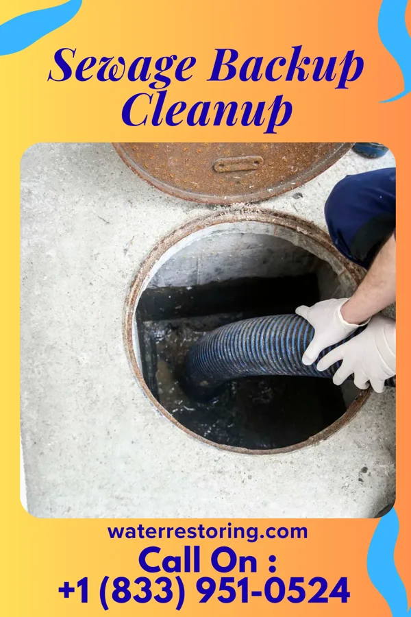 Sewage Backup Cleanup in Ginger Blue, MO