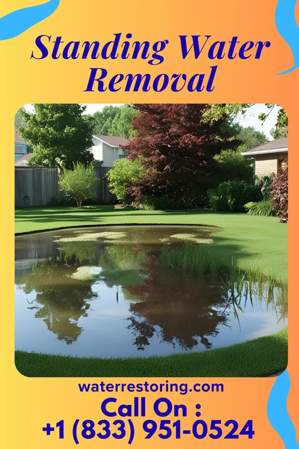 Standing Water Removal in Ginger Blue, MO
